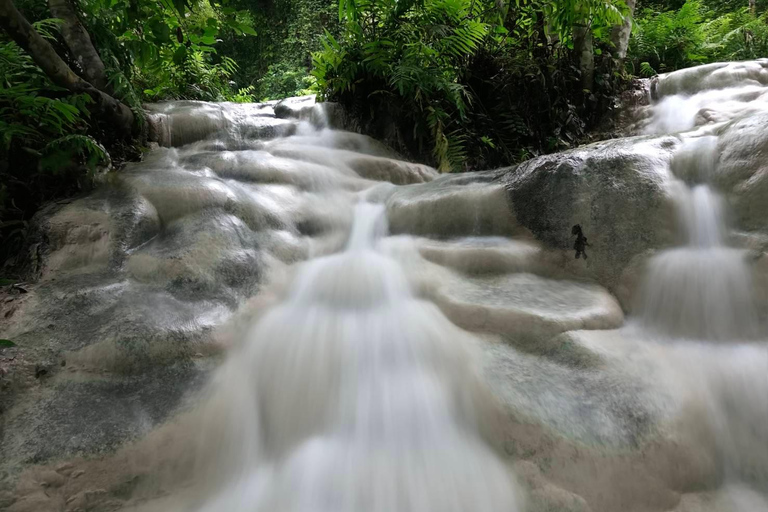 Chiang Mai:Wat Pha Lat,Doi Suthep&Sticky Waterfall Day Trip