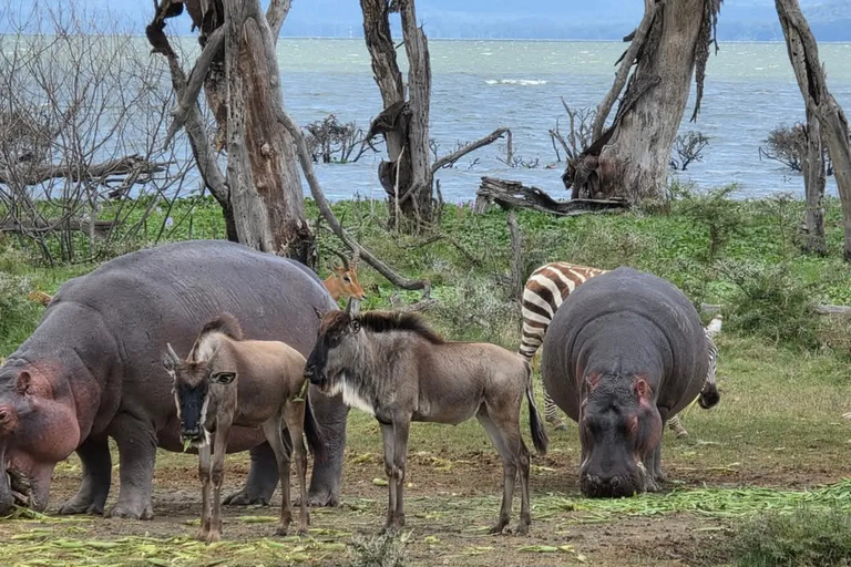 Nairobi: Lake Naivasha Boat Ride and Crescent Island Tour
