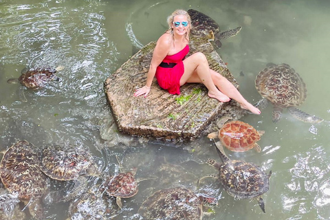 Zanzibar : côte nord et sanctuaire de tortues