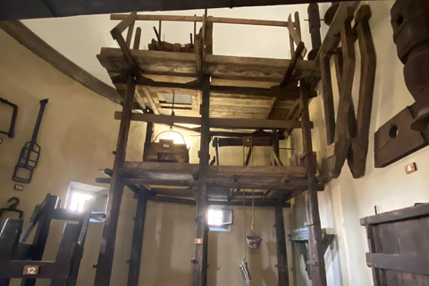 VIP Private Tour Florence Cathedral Dome & Monuments