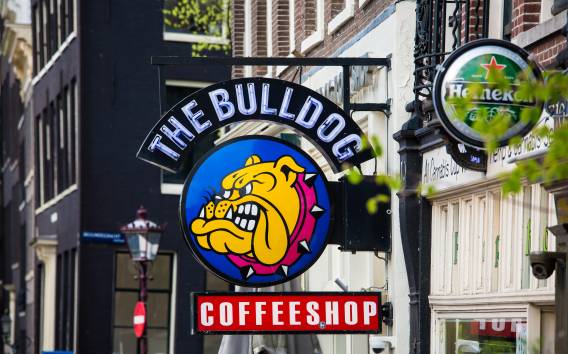 Amsterdam: Coffeeshop Kultur Stadt Erkundungsspiel