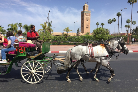 Majorelle Garden &amp; Menara Garden Tour &amp; Carriage RideMarrakech: Majorelle- och Menara-trädgårdarna: rundtur och vagnsresa