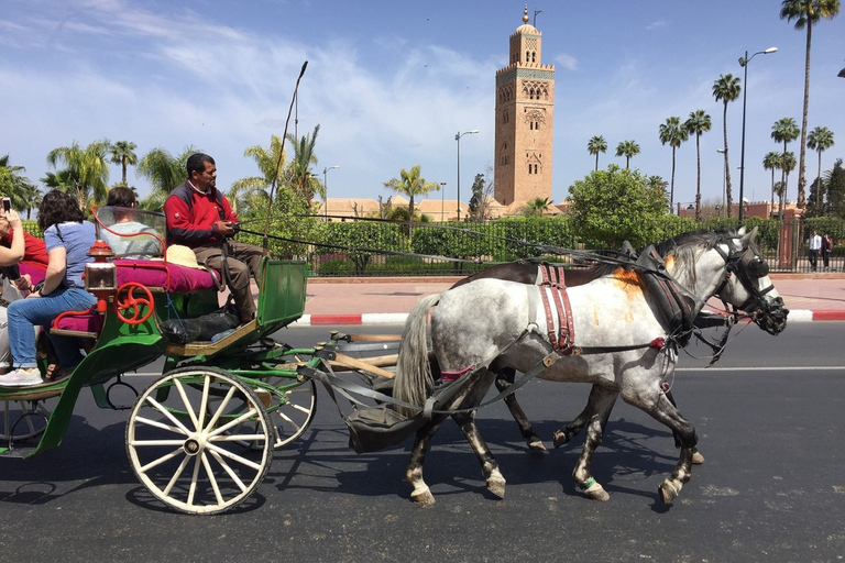 Majorelle Garden &amp; Menara Garden Tour &amp; Carriage RideMarrakech: Majorelle- och Menara-trädgårdarna: rundtur och vagnsresa