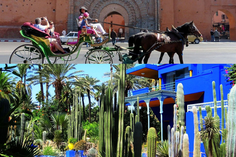 Majorelle Garden &amp; Menara Garden Tour &amp; Carriage RideMarrakech: Majorelle- och Menara-trädgårdarna: rundtur och vagnsresa