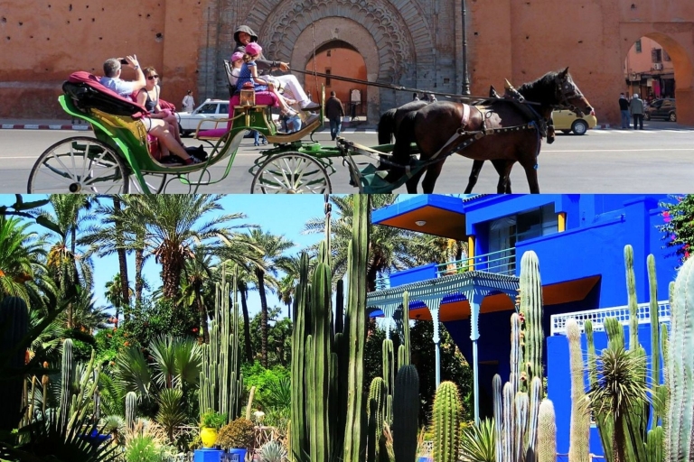 Marrakesz: Majorelle & Menara Gardens Tour & Carriage Ride