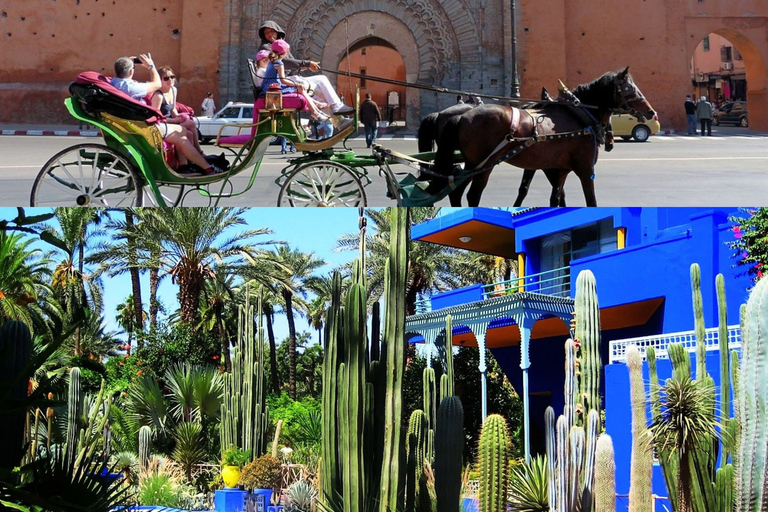 Majorelle Garden &amp; Menara Garden Tour &amp; Carriage RideMarrakech: Majorelle- och Menara-trädgårdarna: rundtur och vagnsresa