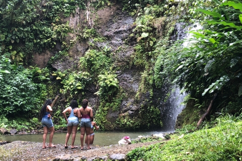 Martinique: Private anpassbare Tour mit Transfer