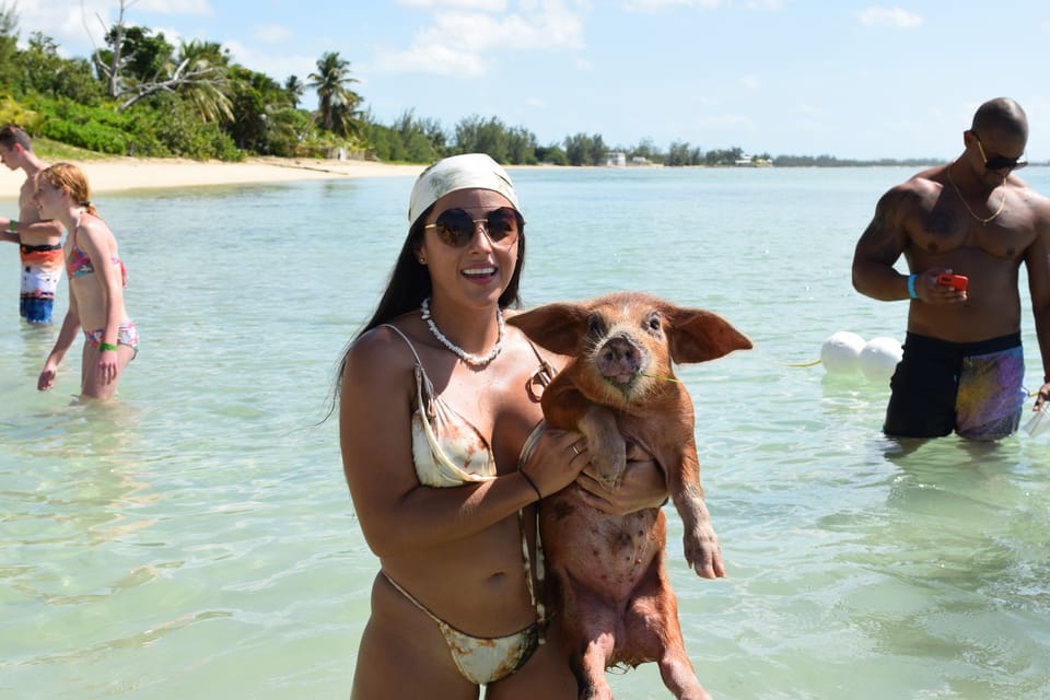Nassau, Pig Beach Island Ticket avec transfert hôtelier - Hizvo