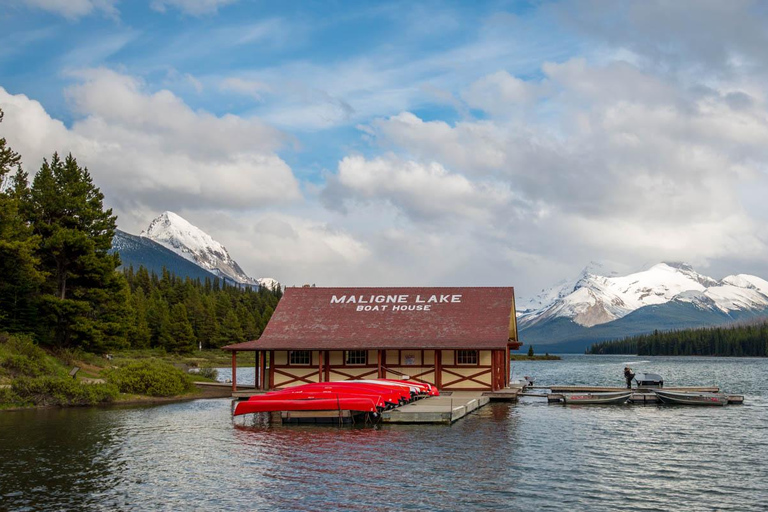 Jasper : Circuit de la faune et des chutes d&#039;eau avec la croisière Maligne