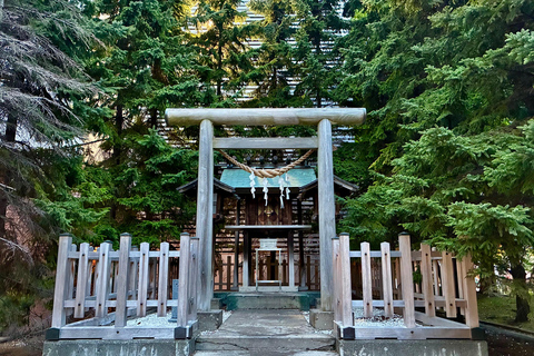 Old/New Sapporo: Private Tour of History, Food & Local Life
