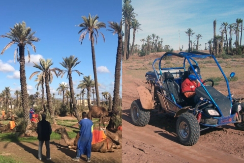 Marrakech: viaje de medio día por las dunas con buggy y paseo en camello