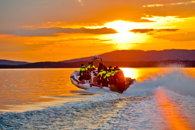 Ze Stavanger: wycieczka łodzią RIB do Lysefjorden