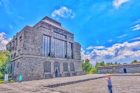 Mexico City: Anahuacalli Museum Guided Tour