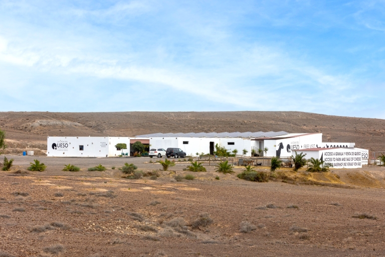 Fuerteventura : fabrication artisanale de fromage de chèvre dans une ferme locale