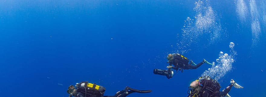 Tenerife : Plongée guidée et expérience en scooter