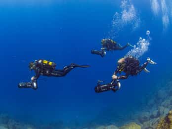 Tenerife: Experiencia Guiada de Buceo y Scooter