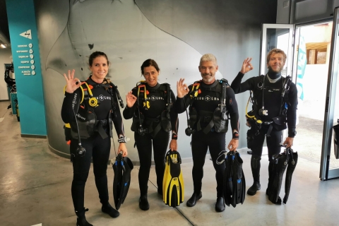 Santa Cruz de Tenerife: Curso SSI Open Water Diver