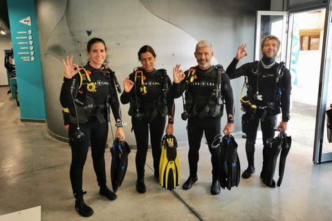 Santa Cruz de Tenerife: Curso SSI Open Water Diver