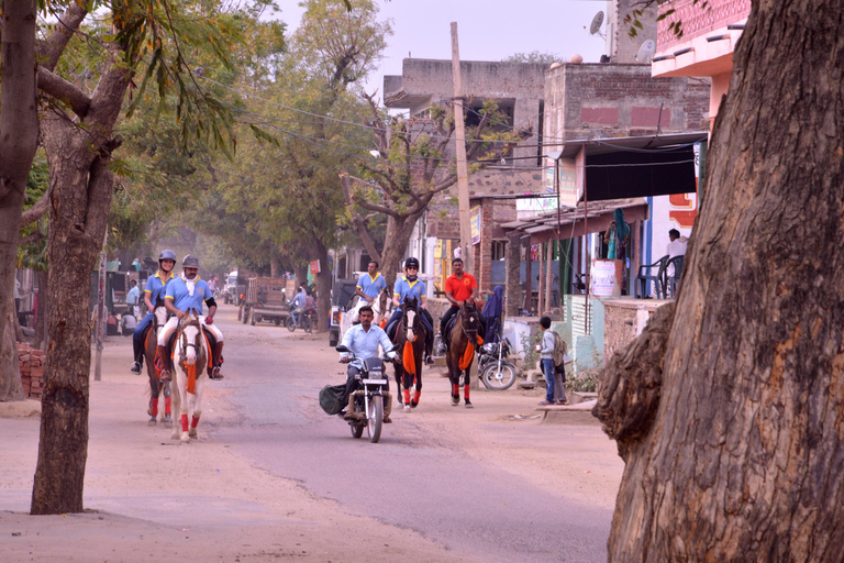 Avventura a cavallo a Jaipur