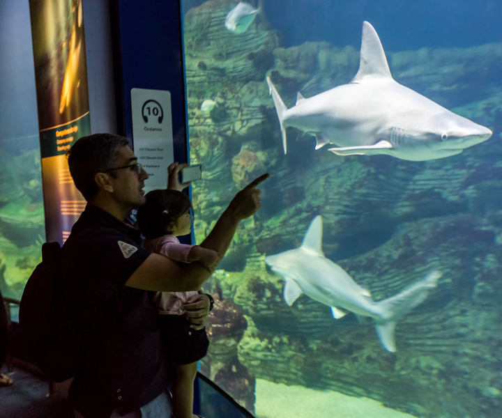 Valence : billet d'entrée à l'Oceanogràfic