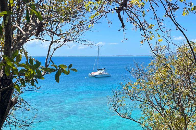 Fajardo: Catamaran Day Cruise to Palomino Island with Lunch