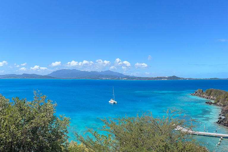 Fajardo: Catamaran Day Cruise to Palomino Island with Lunch