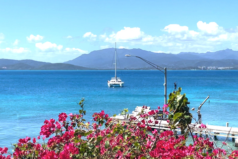 Fajardo: Catamaran Day Cruise to Palomino Island with Lunch