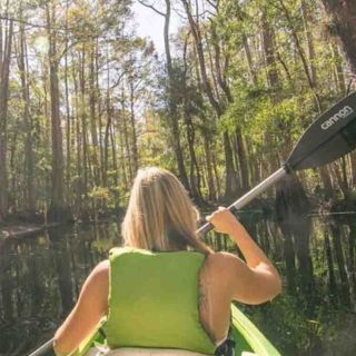 Orlando: tour guidato in kayak di Shingle Creek con pranzo al sacco