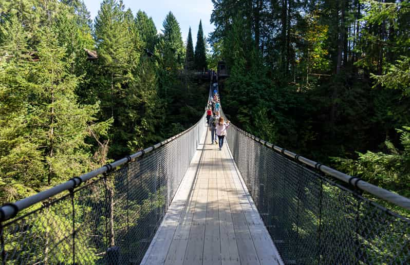 North Vancouver & Capilano Suspension Bridge Tour | GetYourGuide