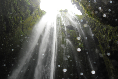 De Reykjavik: excursion privée d'une journée sur la côte sud et randonnée glaciaire