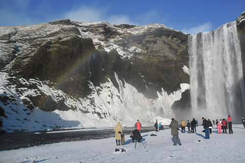 De Reykjavik: excursion privée d'une journée sur la côte sud et randonnée glaciaire