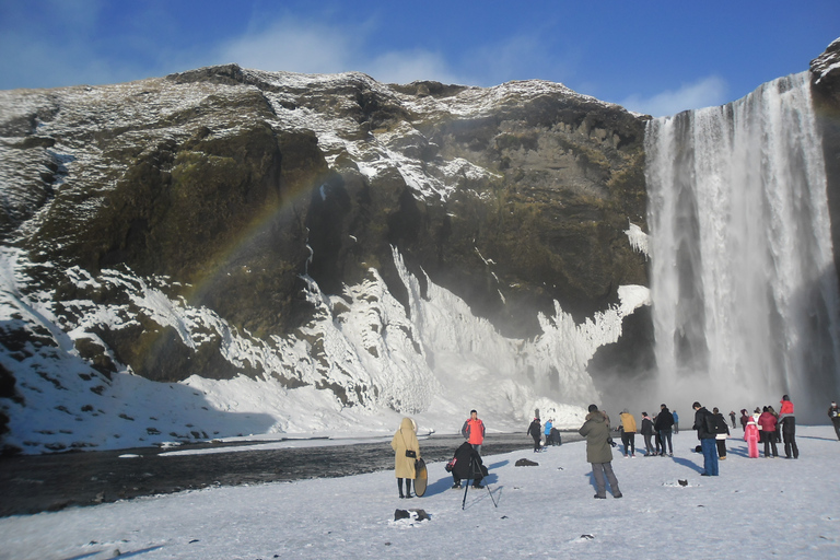 From Reykjavik: Private South Coast Day Trip &amp; Glacier Hike