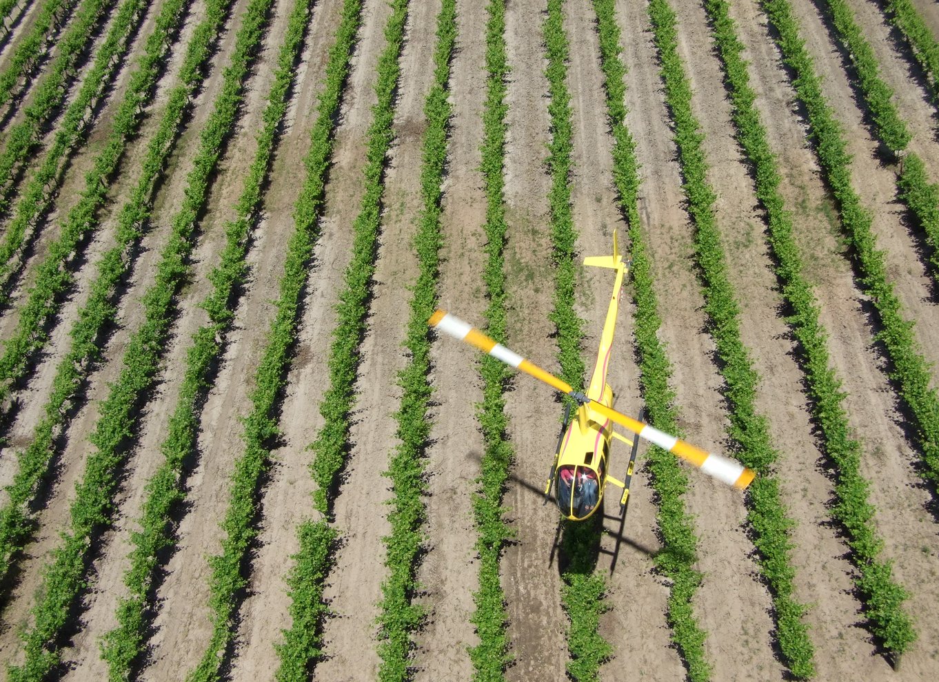 Barossa Valley: 10 minutters helikopterflyvning med naturskønne omgivelser