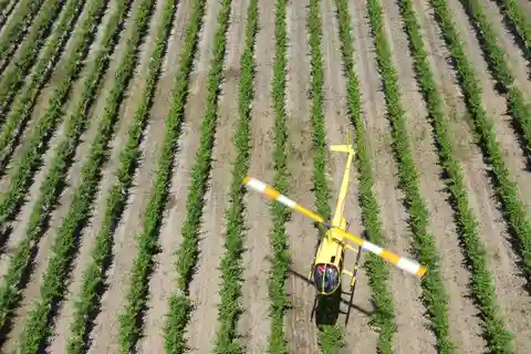 Barossa Valley: 10-Minute Scenic Helicopter Flight