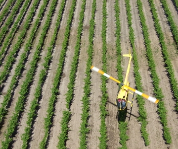 Barossa Valley: 10-Minute Scenic Helicopter Flight