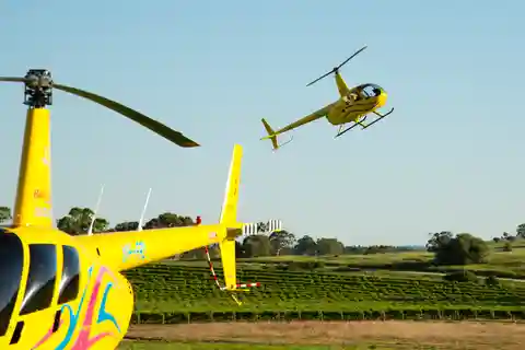From Lyndoch: Barossa Valley 15-Minute Helicopter Flight