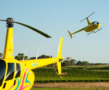 Desde Lyndoch: Vuelo en helicóptero de 15 minutos por el valle de Barossa
