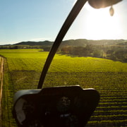 Barossa Valley: 20-Minute Scenic Helicopter Flight Barossa Valley: 20-Minute Scenic Helicopter Flight