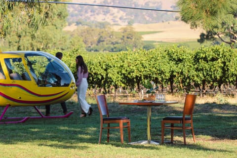 Barossa Valley: Private Helicopter Flight & Winery