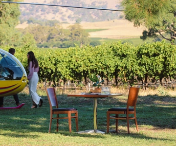 Barossa Valley: Privat helikopterflygning och vingård