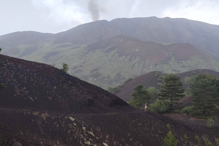 Catane ou Taormina : randonnée guidée sur l'Etna avec vin et collationsEtna Nord: Trekking, Dégustation de vin, déjeuner léger de Catane