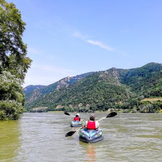 Vienna: tour privato in kayak e vino della valle della Wachau