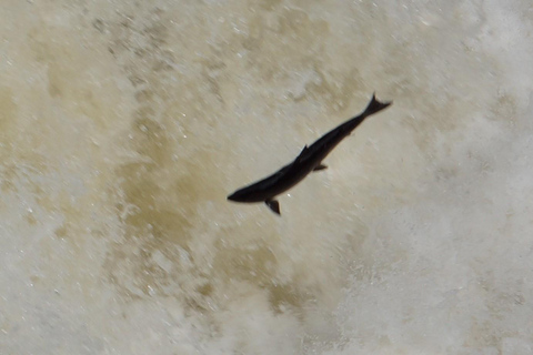 Inverness: Relaxed Private Northern Scottish Highlands Tour From Inverness: Private Northern Scottish Highlands Tour