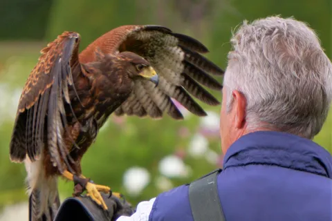 Inverness: Relaxed Private Northern Scottish Highlands Tour