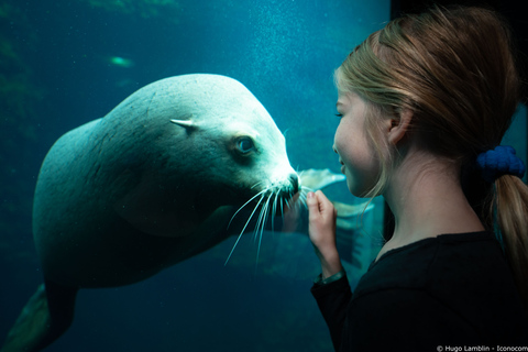 Nausicaá National Sea Center: Full-Day Entry Ticket