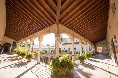 Sevilla: visita guiada a pie de 3 horas y Palacio de las Dueñas