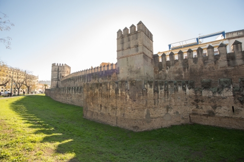 Seville: 3-Hour Guided Walking Tour & Palacio de las Duenas