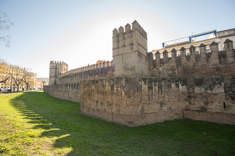 Sevilla: 3-stündiger geführter Rundgang & Palacio de las Duenas