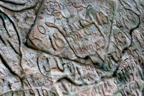 Randonnée guidée dans le parc national de GaujaDepuis Riga/Jurmala : Randonnée guidée dans le parc national de Gauja