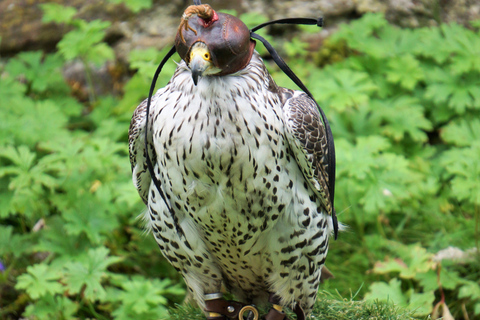 Inverness: Relaxed Private Northern Scottish Highlands Tour From Inverness: Private Northern Scottish Highlands Tour